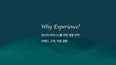 Why Experience?