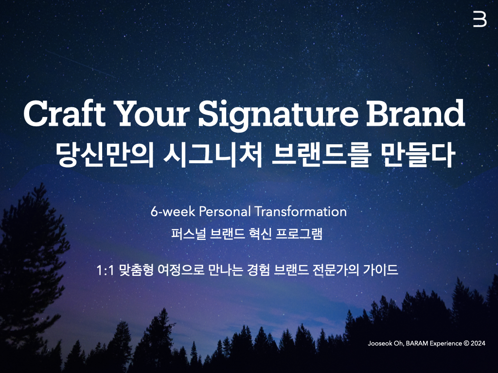 당신의 시그니처 브랜드 : 당신의 경험과 지식이 브랜드다 Craft Your Signature Brand